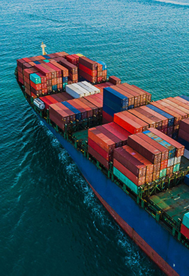 UWILD Inspection Services in Nagoya Port